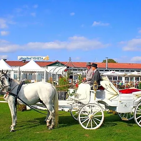 Inselhof Vineta Отель Цемпин