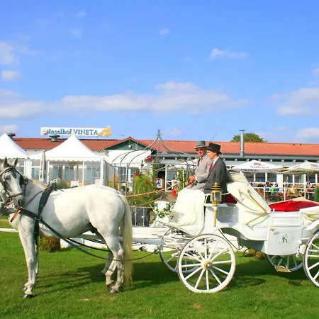 因塞尔霍夫维内塔酒店 度假村 泽姆平